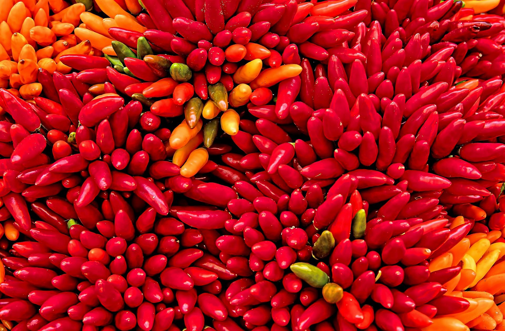 Daily simple choices can make a huge impact (Image via Unsplash/Ricardo Gomez)
